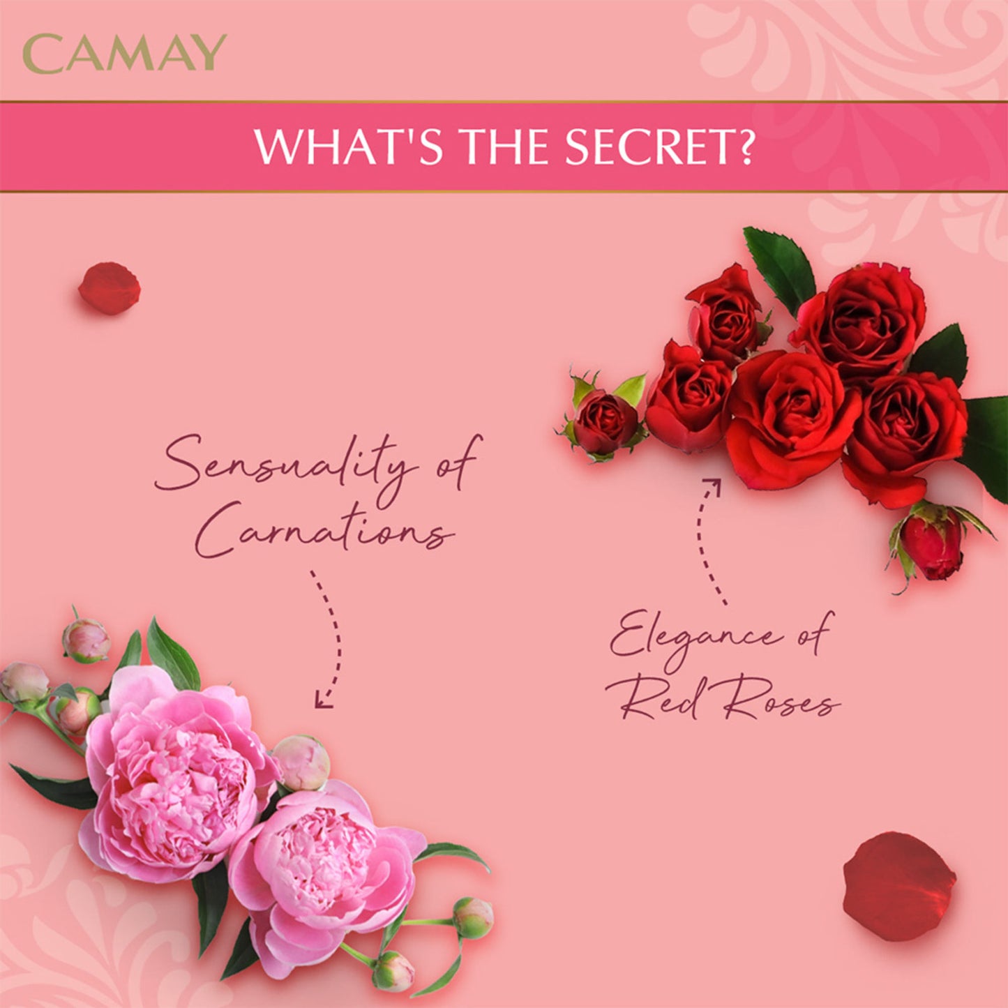 Camay Classic Carnations & Roses Beauty Soap - Pack Of 4