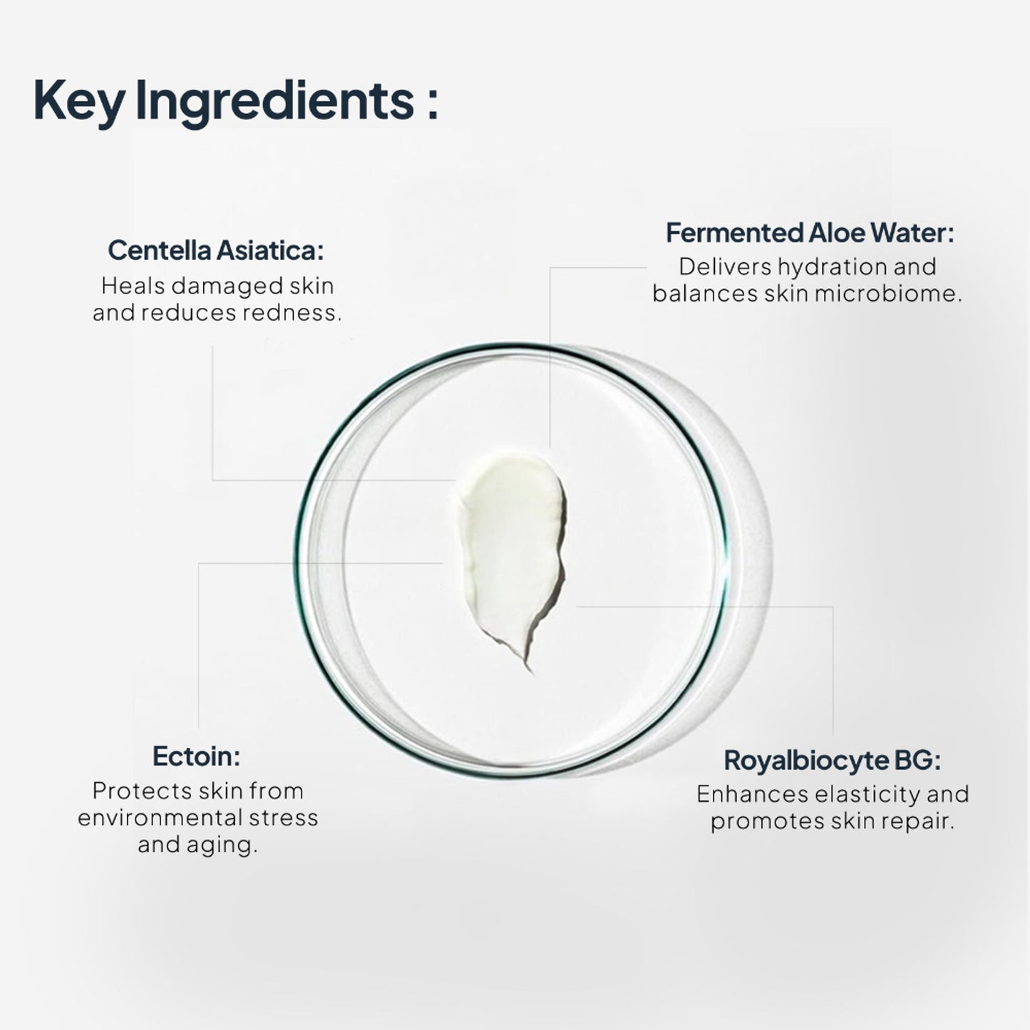 Miduty EpiRepair Night Cream with Peptides, Ceramides & Fermented Aloe For All Skin Types