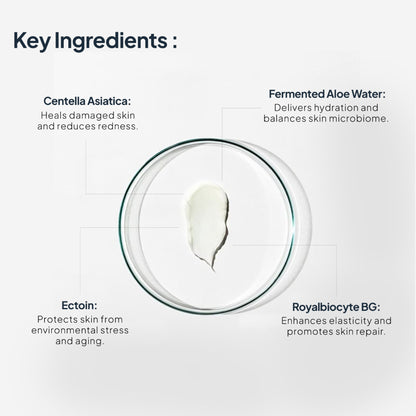 Miduty EpiRepair Night Cream with Peptides, Ceramides & Fermented Aloe For All Skin Types