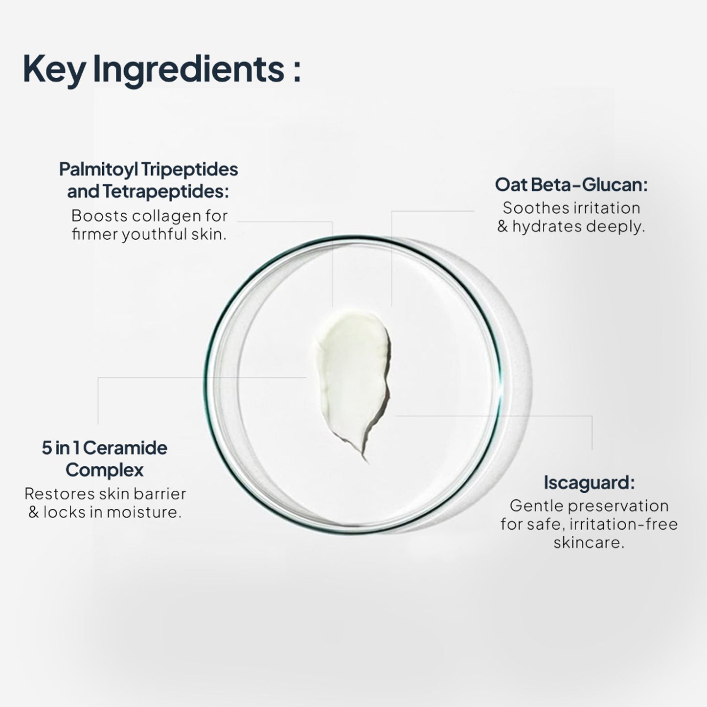 Miduty EpiRepair Night Cream with Peptides, Ceramides & Fermented Aloe For All Skin Types