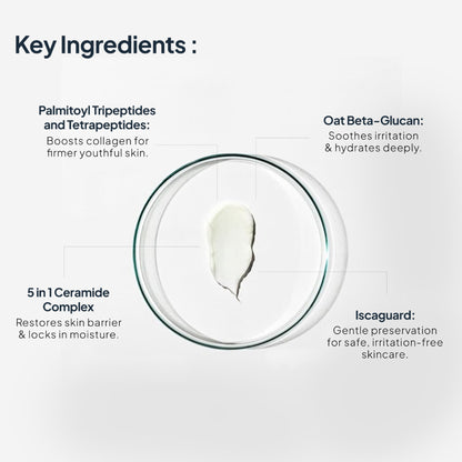 Miduty EpiRepair Night Cream with Peptides, Ceramides & Fermented Aloe For All Skin Types
