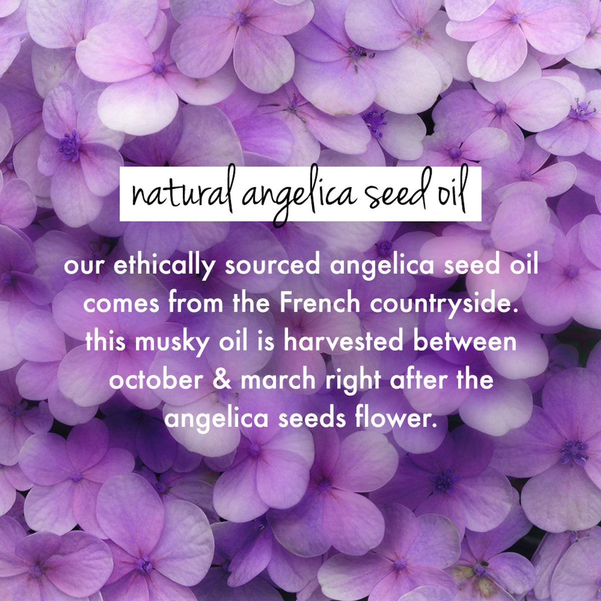 Love Beauty & Planet Rice Water & Angelica Seed Oil Curl Defining Gel For Curly & Wavy Hair