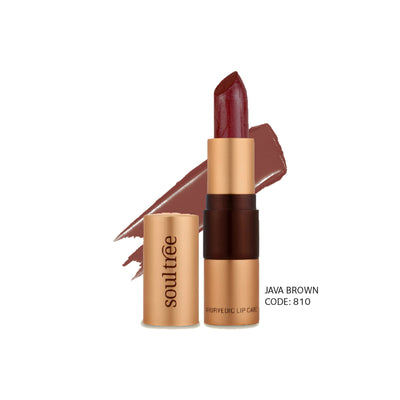 SoulTree Ayurvedic Lipstick - Java Brown 810