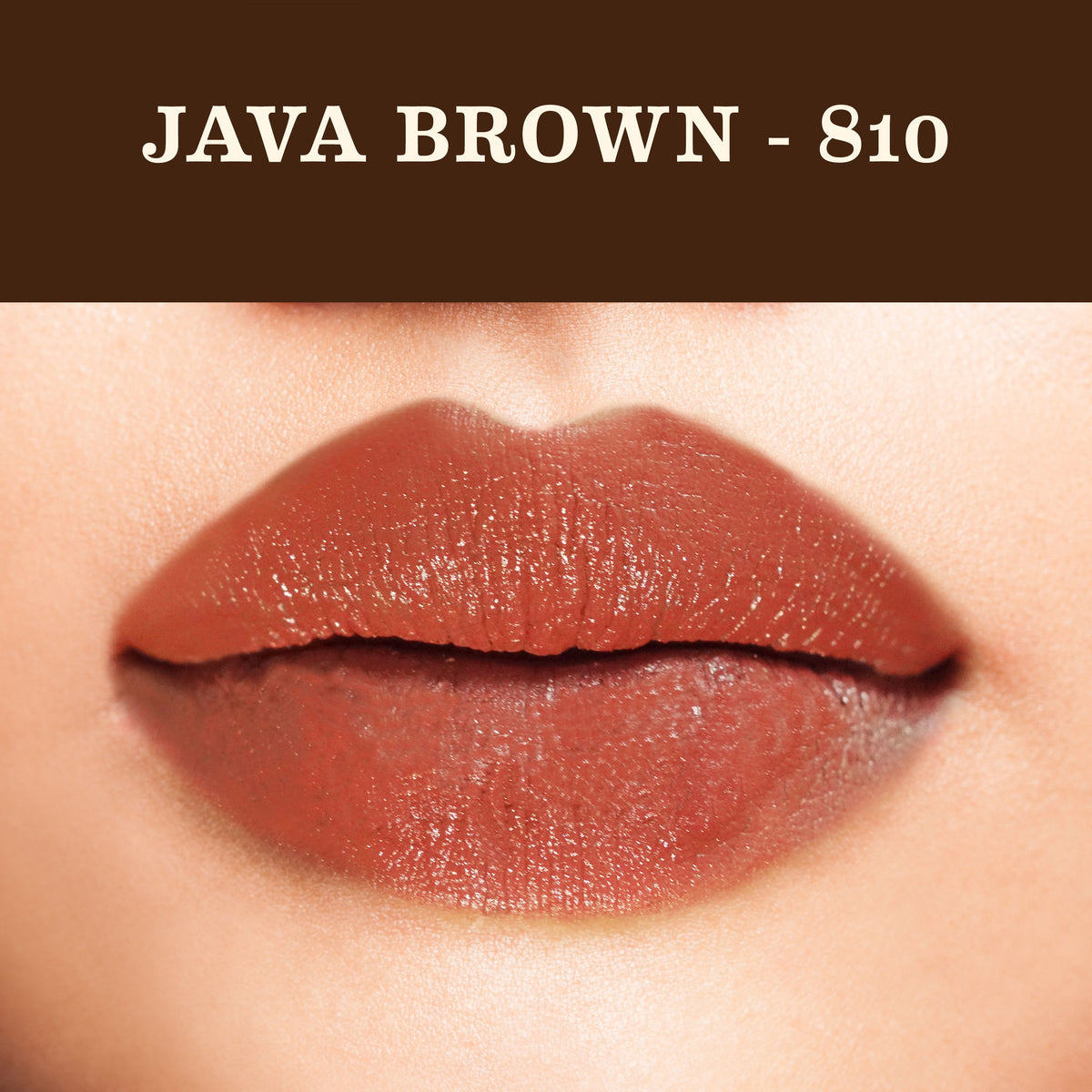SoulTree Ayurvedic lipstick in Java Brown 810, showcasing the natural lipstick tube and product packaging.