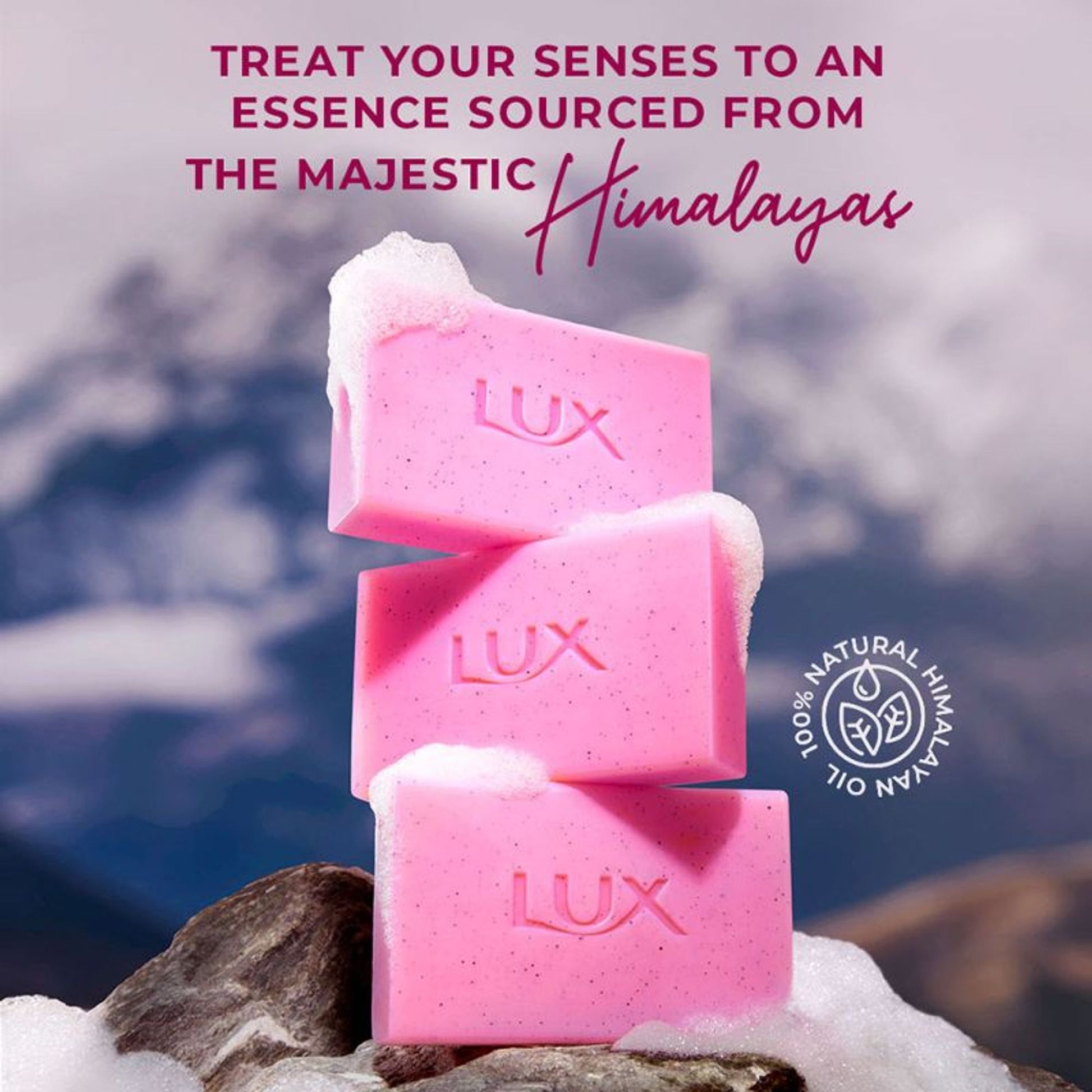 Lux Essence Of Himalayas Rose & Aloe Vera Exfoliating Soap - Pack Of 5