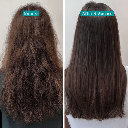 Pilgrim Korean Rice Water & Collagen Advanced Damage Repair Conditioner For Dry Frizzy & Damag Hair