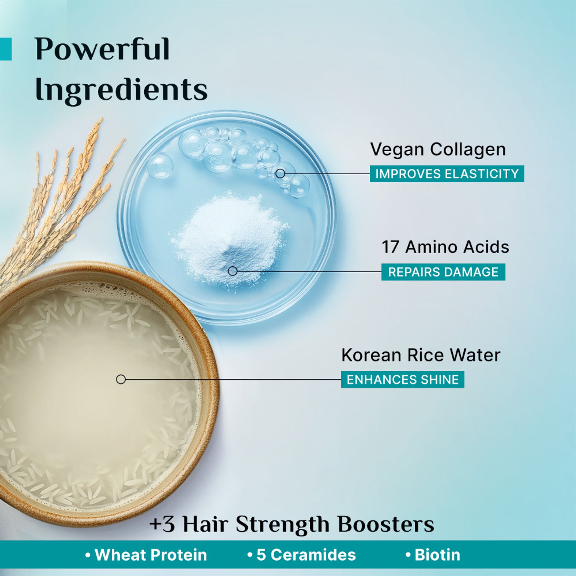 Pilgrim Korean Rice Water & Collagen Advanced Damage Repair Conditioner For Dry Frizzy & Damag Hair