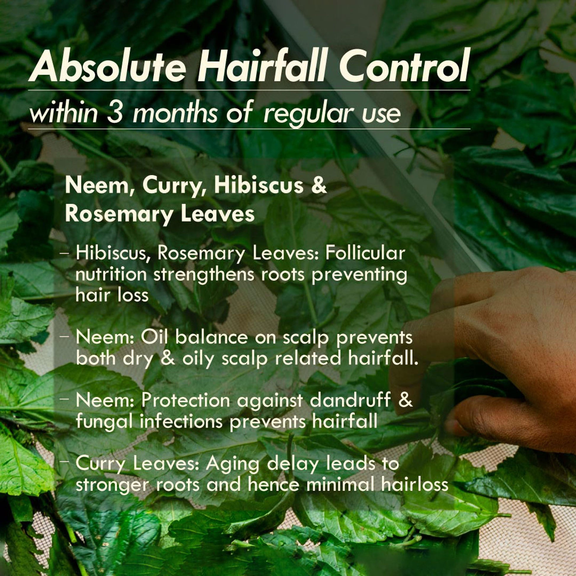 Nat Habit Trileaf Rosemary Hair Fall Control Ayurvedic Hair Oil With Hibiscus, Neem & Curry