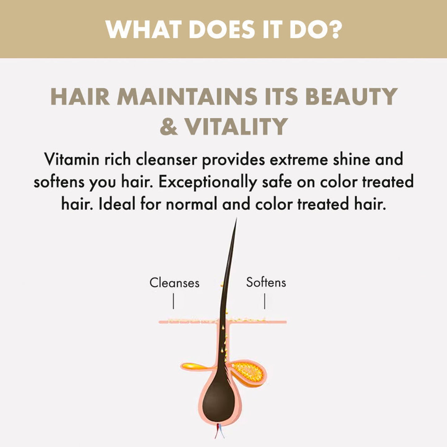 ALFAPARF MILANO Diamond Shampoo