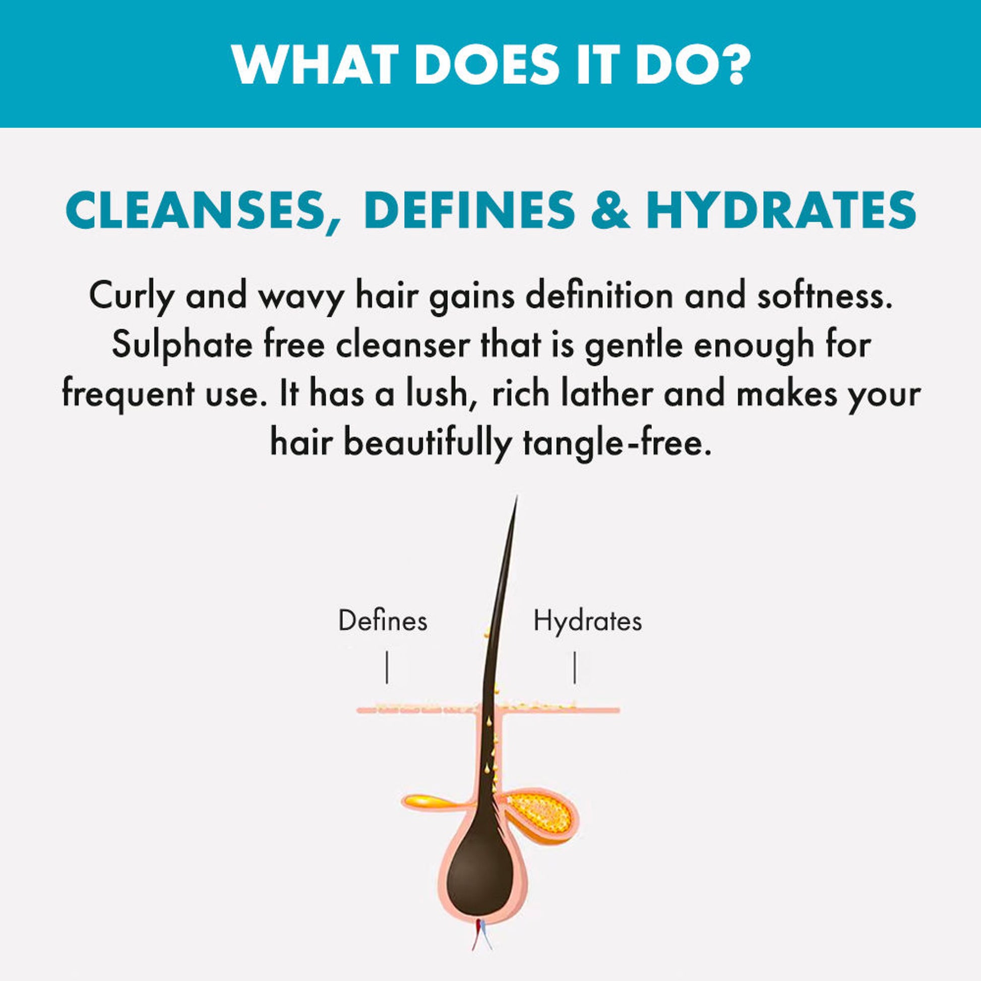 ALFAPARF MILANO Curly Hair Shampoo, Reduces Frizz & Adds Moisture, Sulfate Free