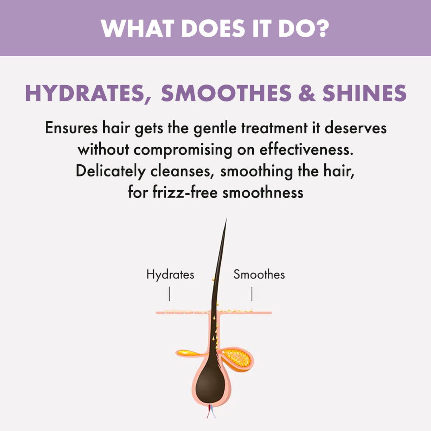 ALFAPARF MILANO Smoothing Shampoo
