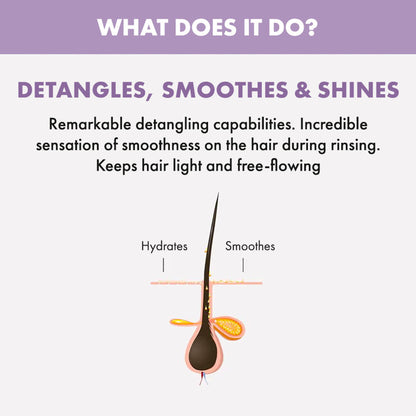 ALFAPARF MILANO Smoothing Conditioner