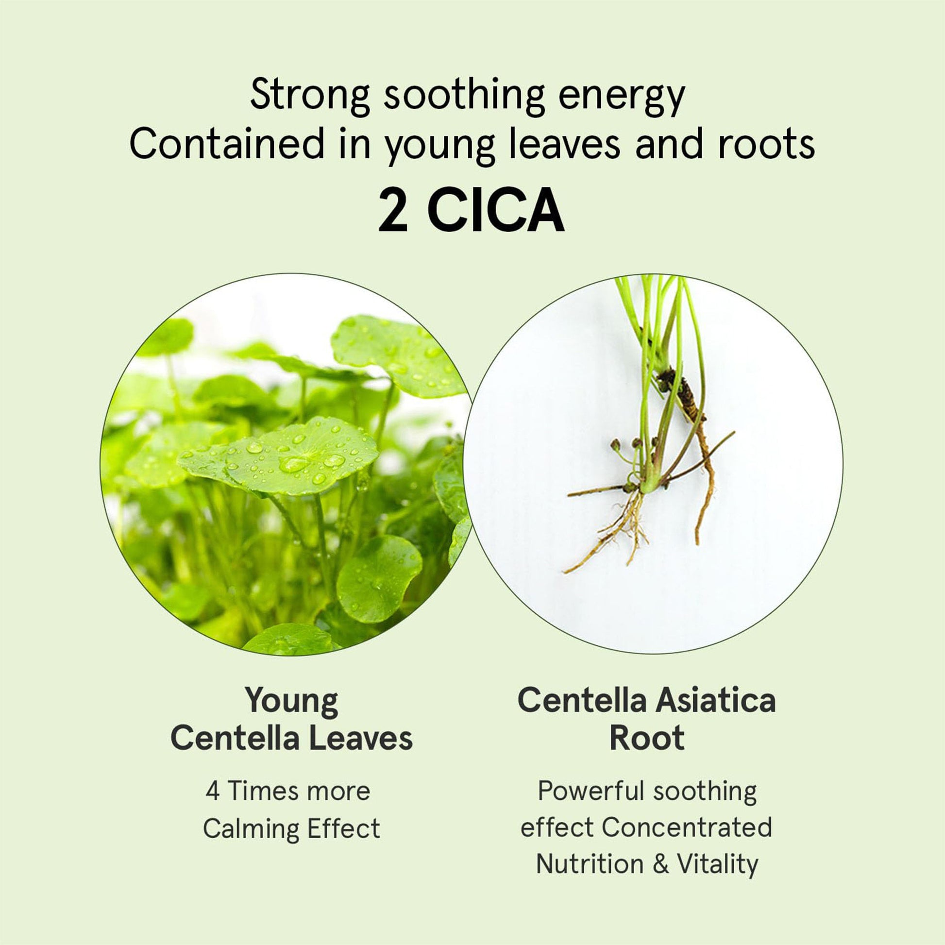 ONE THING Cica B5 Cream