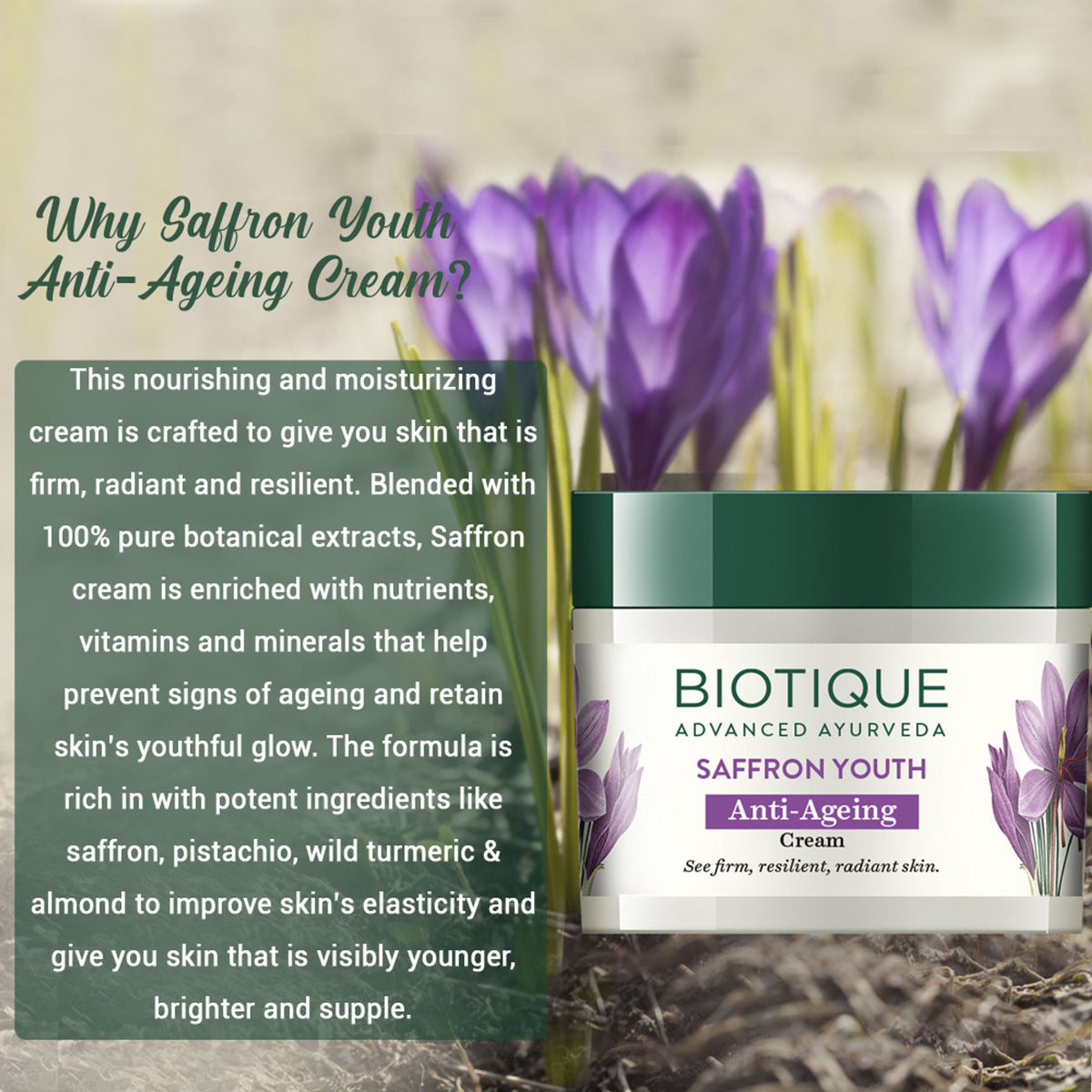 Biotique Saffron Youth anti-aging cream jar with saffron extract and natural ingredients for youthful skin.