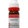 Dr. Reckeweg Ledum Pal Dilution