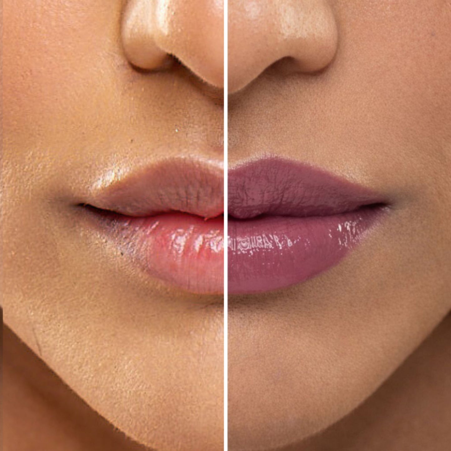 The Skin Diet Company Lip Barrier Tint To Hydrate & Plump Dry, Pigmented Lips - Desert Rose