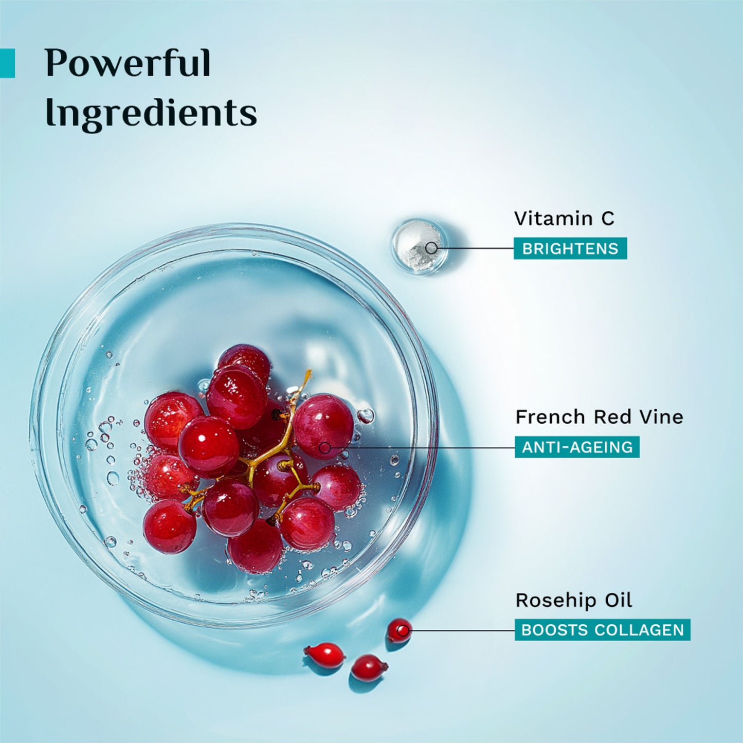 Pilgrim French Red Vine Youthful Glow Moisturizer SPF 30 with Vitamin C