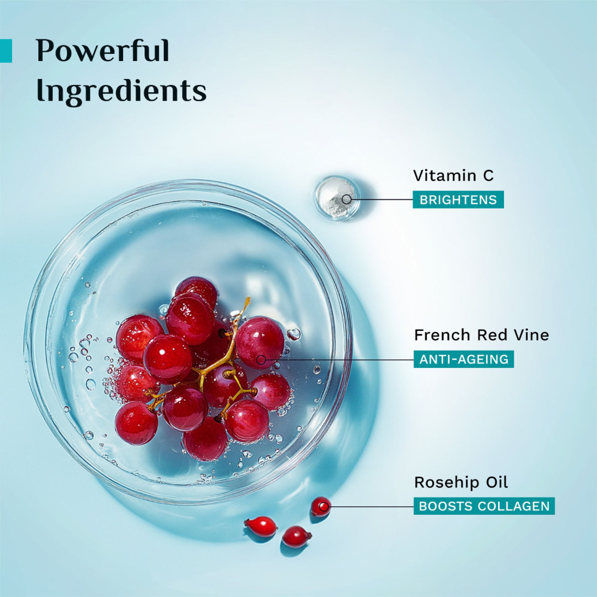 Pilgrim French Red Vine Youthful Glow Moisturizer SPF 30 with Vitamin C