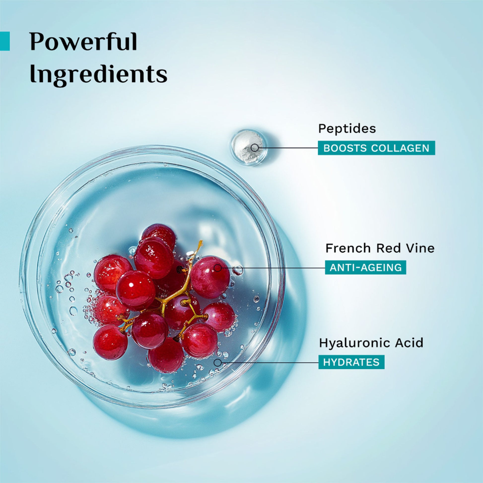 Pilgrim Red Vine Face Serum