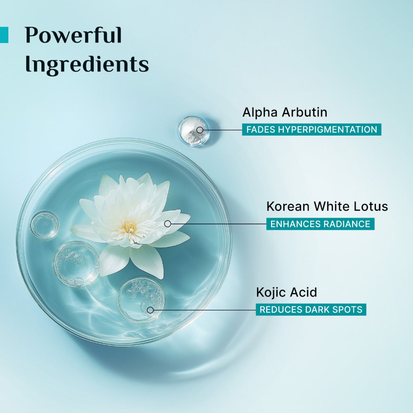 Pilgrim Glow Range 2% Kojic Acid Face Serum
