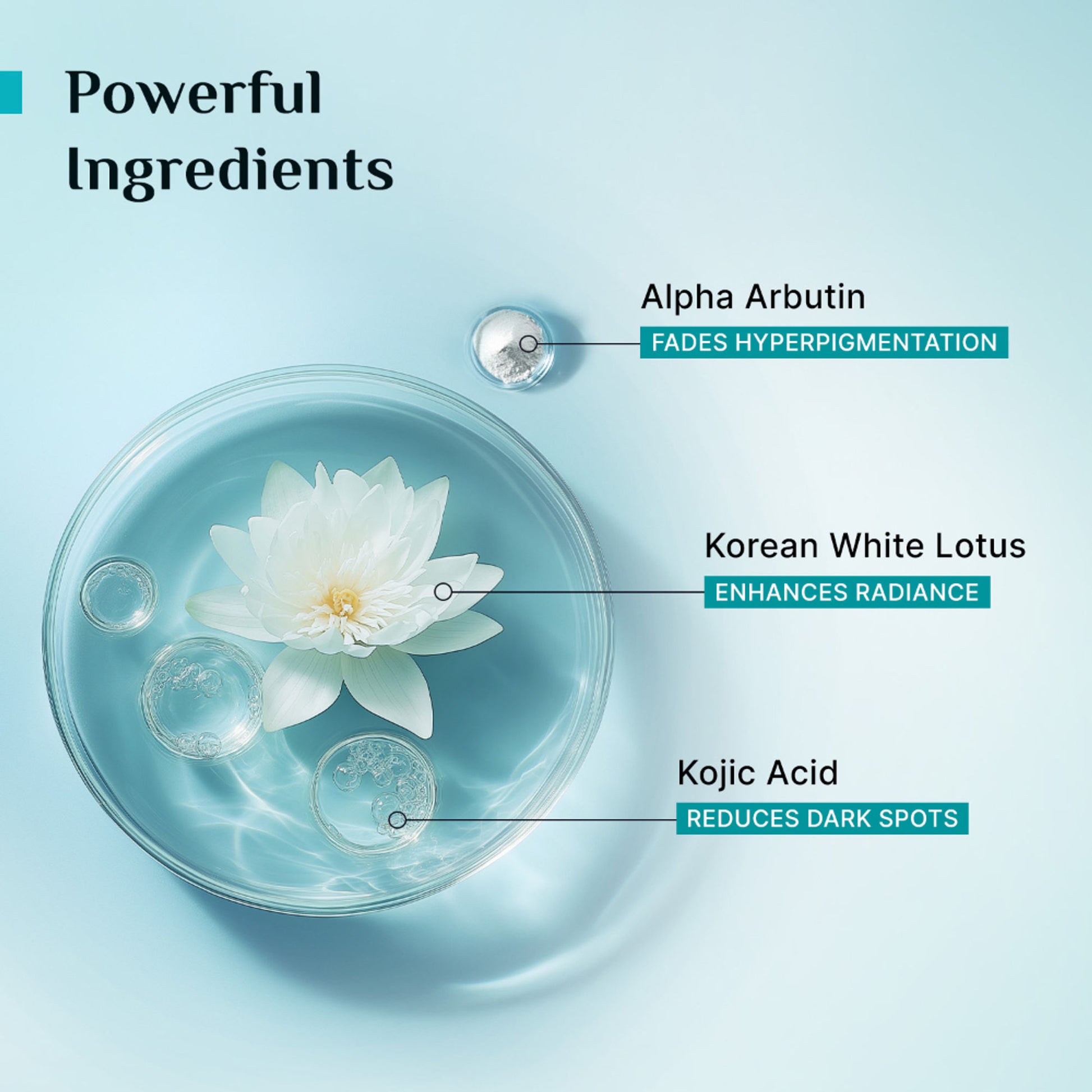 Pilgrim Glow Range 2% Kojic Acid Face Serum