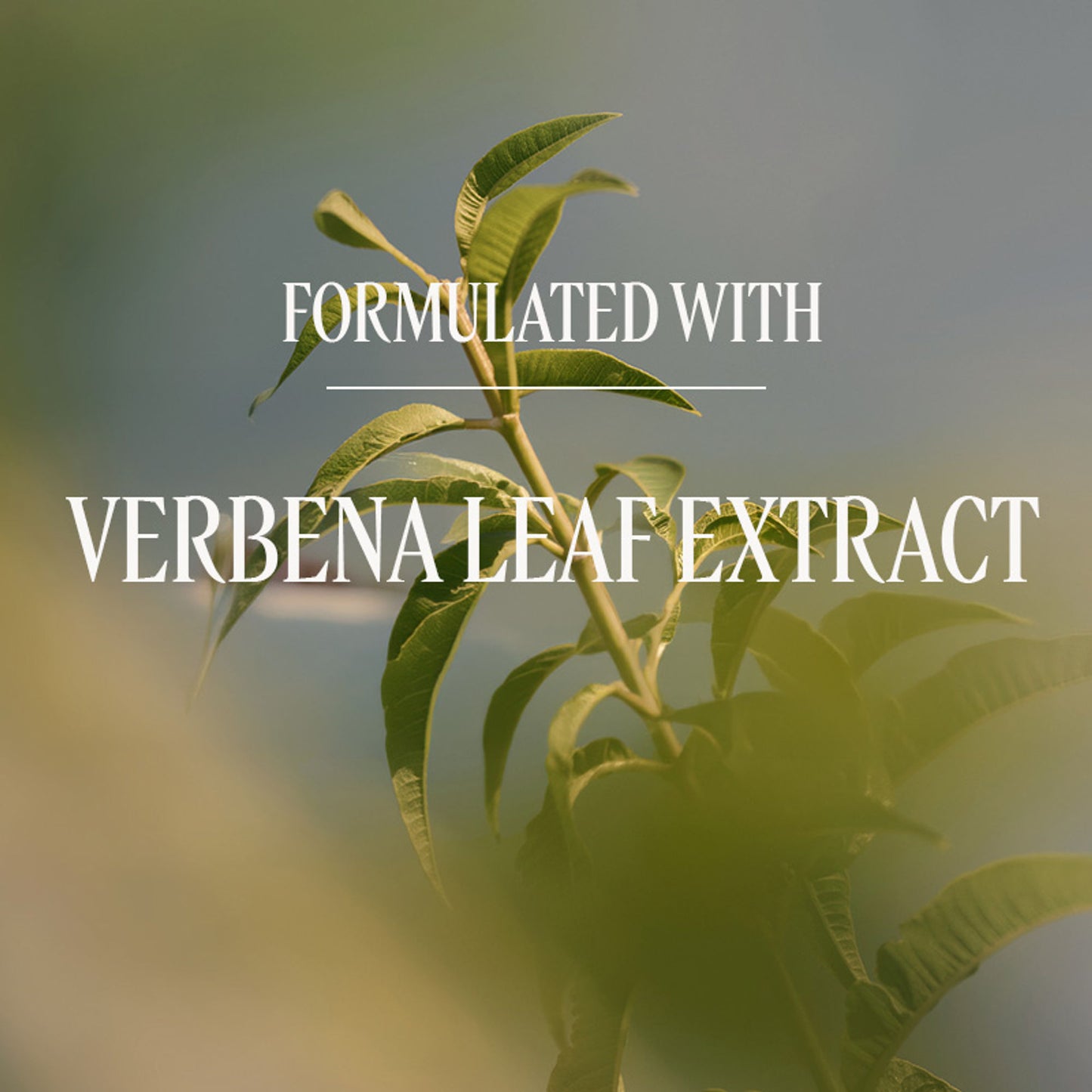 L'Occitane Verveine (Verbena) Shower Gel Refill