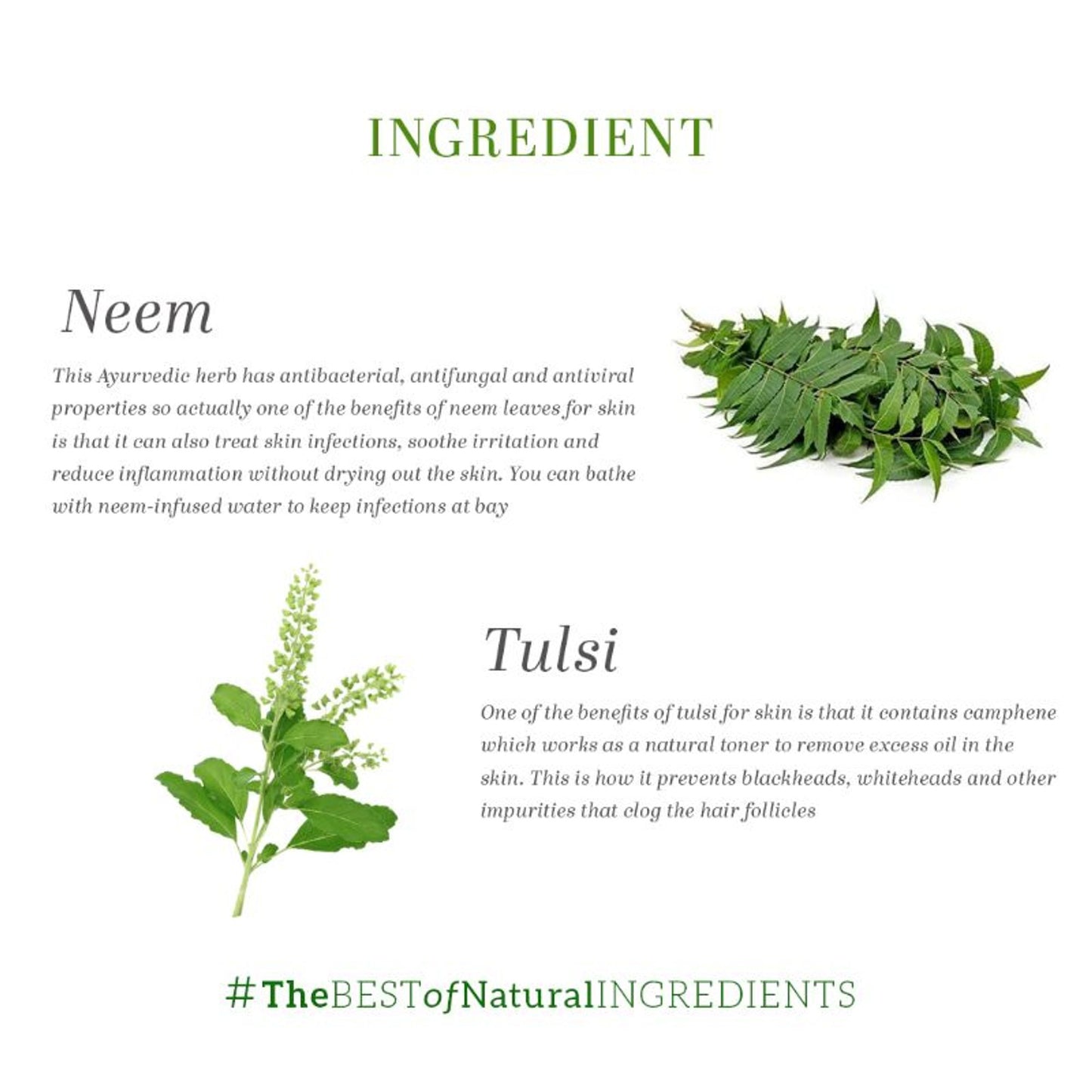 Khadi Natural Neem-Tulsi Face Pack Reduces Wrinkles & Finelines