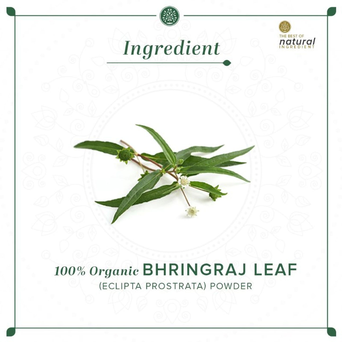 Khadi Natural Bhringraj Leaf Organic Powder Deep Moisturize Scalp