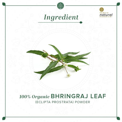 Khadi Natural Bhringraj Leaf Organic Powder Deep Moisturize Scalp