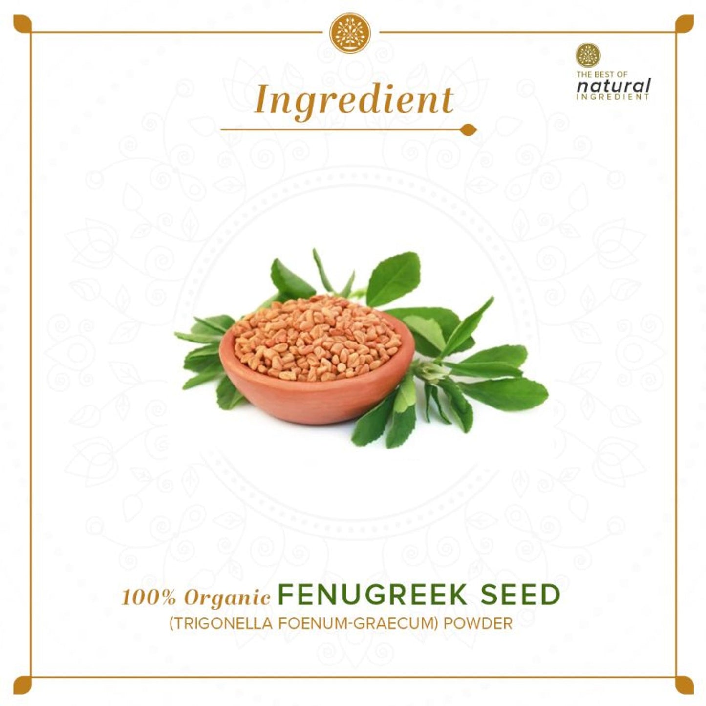 Khadi Natural Fenugreek Seed Organic Powder Anti-Bacterial