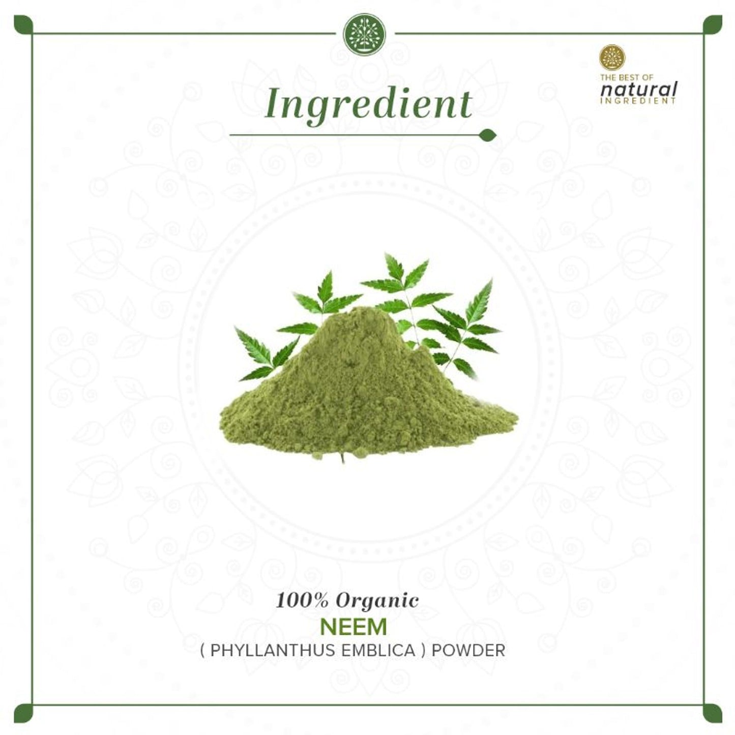 Khadi Natural Neem Leaf Organic Powder Oil Control & Deep Cleanses