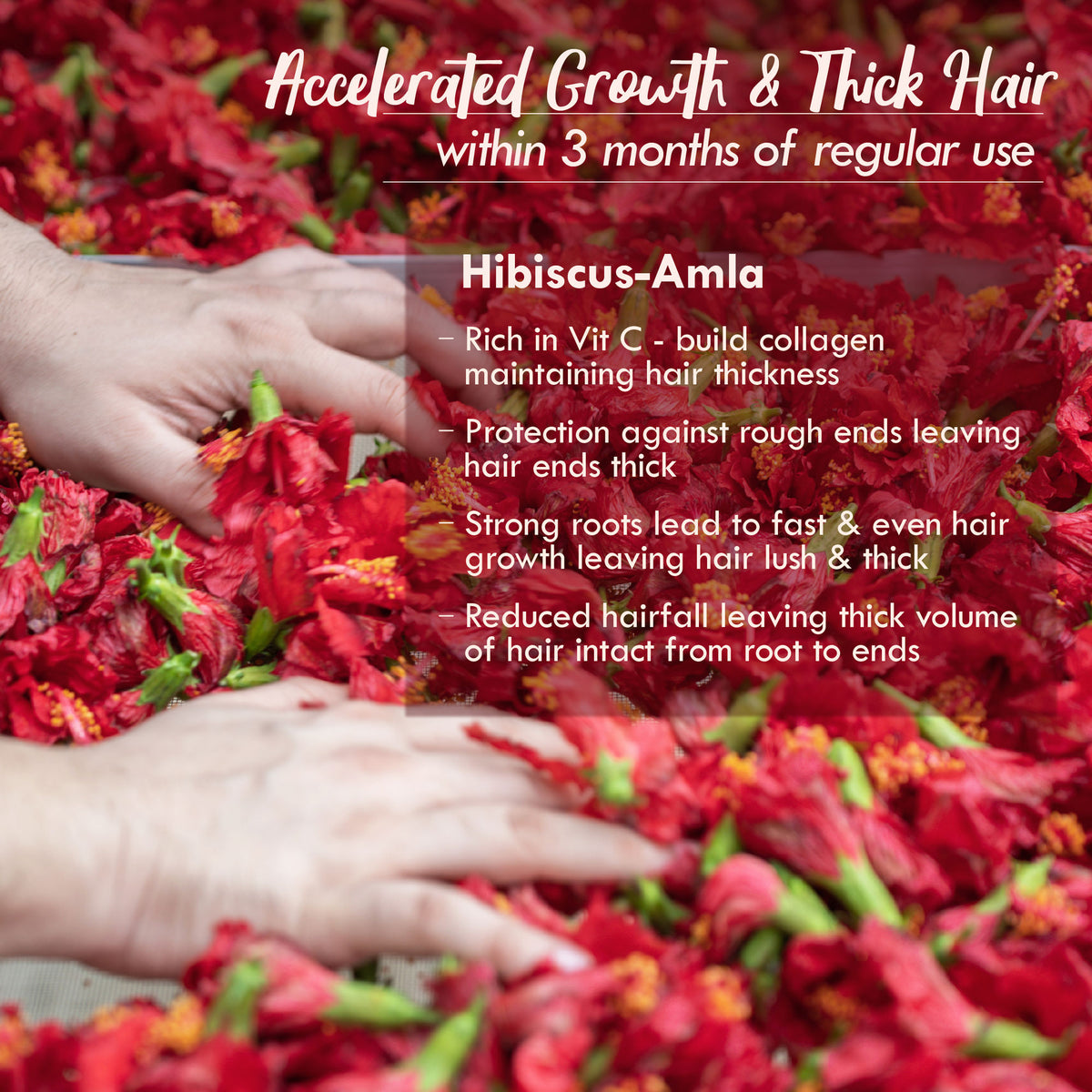 Nat Habit Hibiscus Amla Hair Growth & Thickening Ayurvedic Oil With Rosemary Coconut Castor