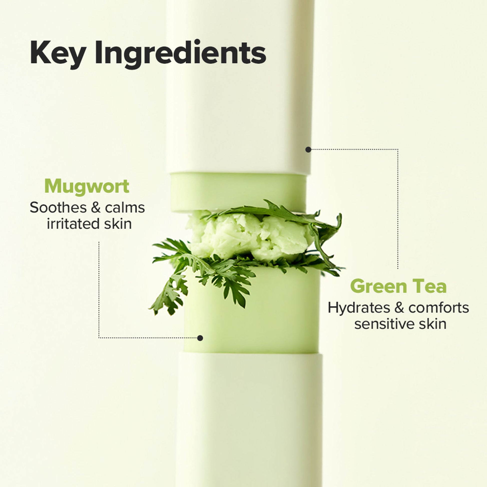 Beauty Of Joseon Matte Sunscreen Stick Mugwort + Camelia SPF 50 PA++++