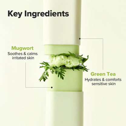 Beauty Of Joseon Matte Sunscreen Stick Mugwort + Camelia SPF 50 PA++++