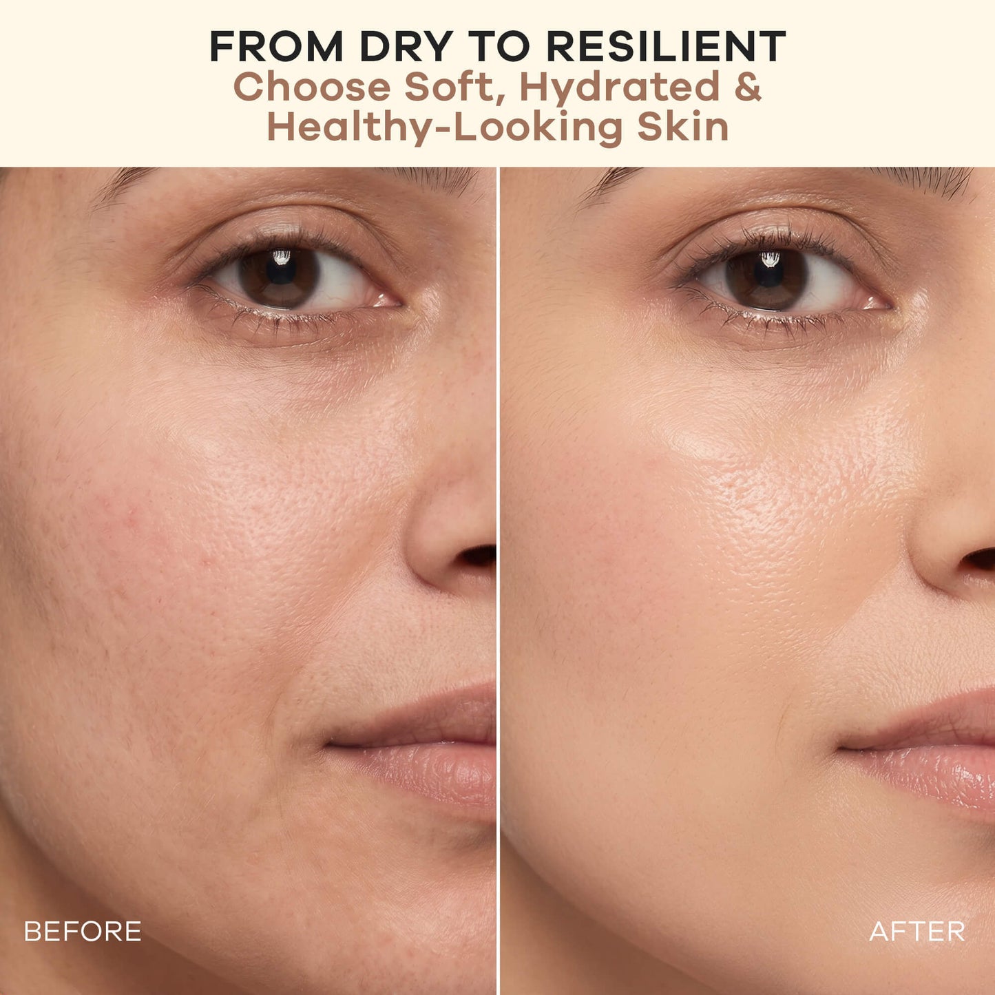 Earth Rhythm Bounce Back Barrier Repair Face Cream With Almond Milk & 5X Ceramides-48H Hydration