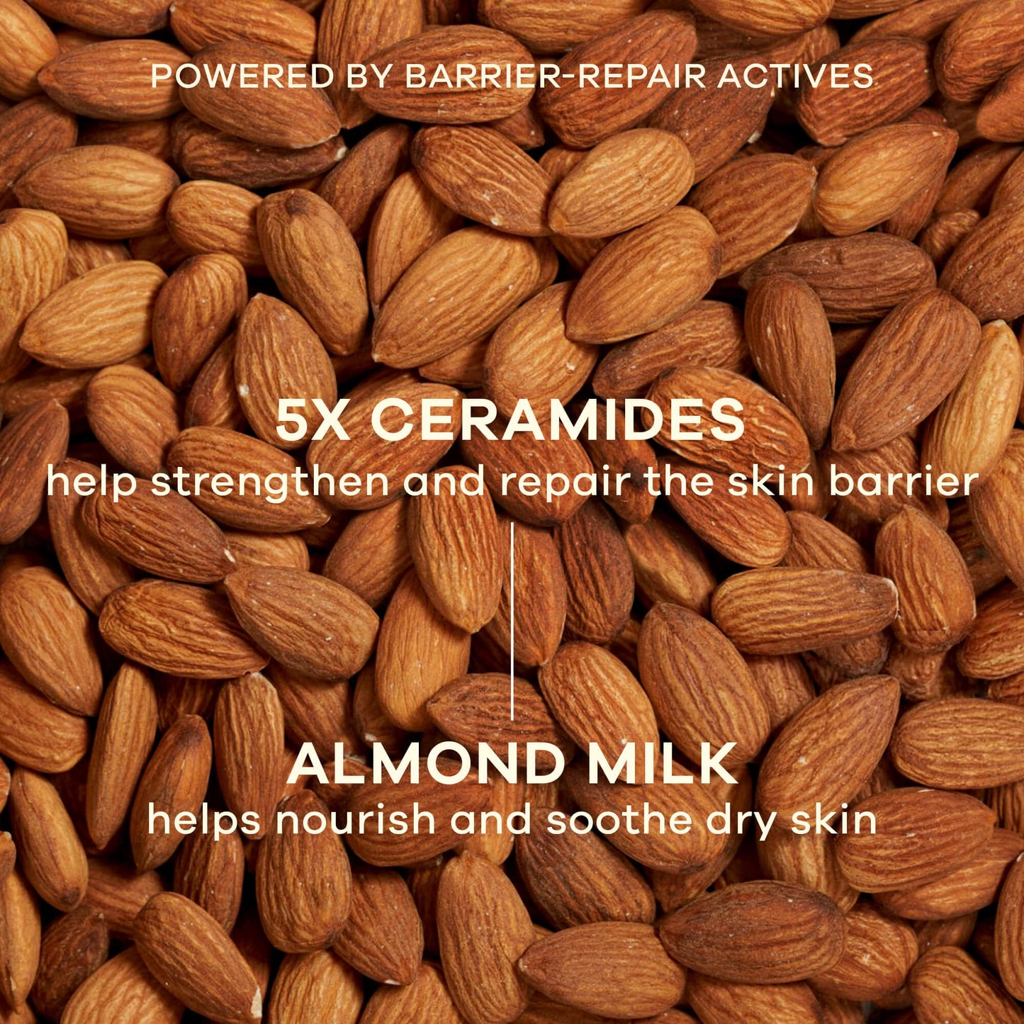 Earth Rhythm Bounce Back Barrier Repair Face Cream With Almond Milk & 5X Ceramides-48H Hydration
