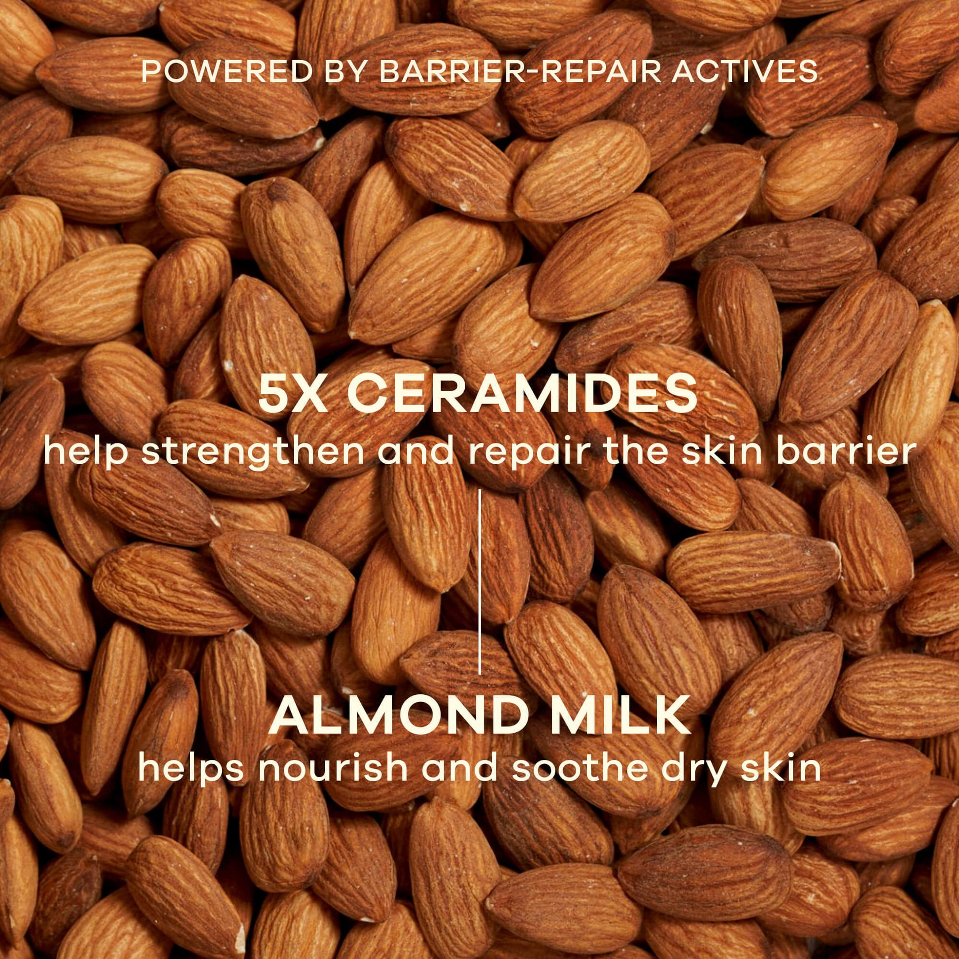Earth Rhythm Bounce Back Barrier Repair Face Cream With Almond Milk & 5X Ceramides-48H Hydration
