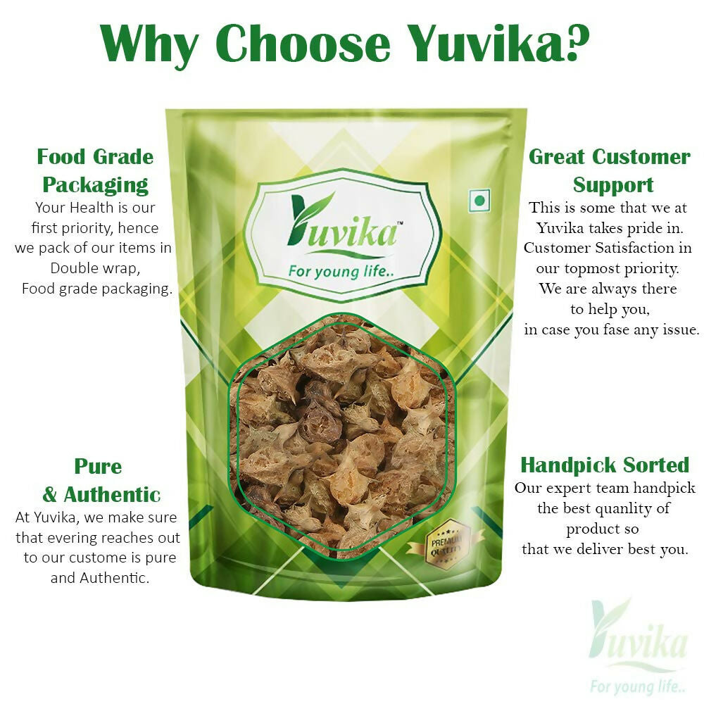 Yuvika Gokhru Bada, large Pedalium Murex caltrops used in Ayurvedic medicine, shown in a natural setting.