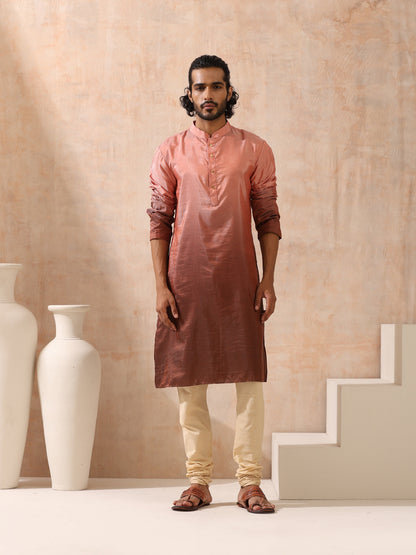 Indyancart ST Mens Ombre Shades of Brown Kurta