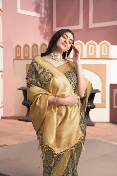 Indyancart GR Women's Avika Brown Cotton Ikat Silk Saree