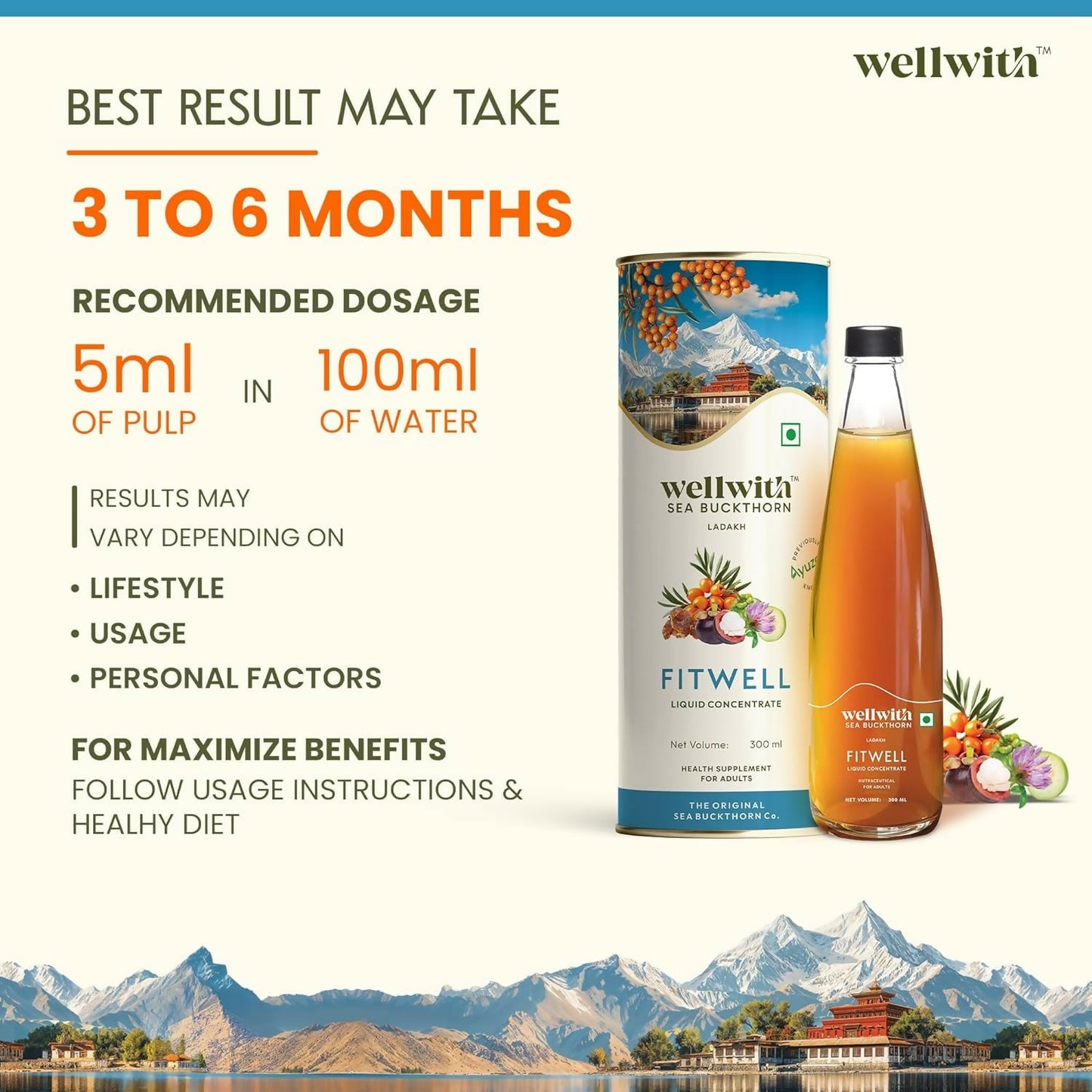 Wellwith Fitwell Juice â€“ Himalayan Sea Buckthorn + Garcinia, Kokum & Punarnava