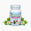 Planet Ayurveda Giloy Capsules
