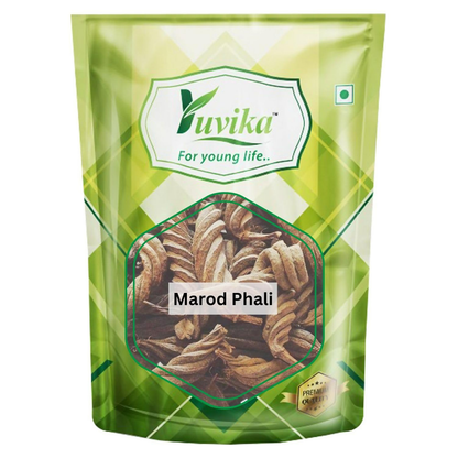 Yuvika Marod Phali (Marori) Helicteres Isora Ayurvedic herb in a small bowl, used in traditional herbal medicine.
