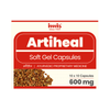 IMIS Ayurveda Artiheal Capsules