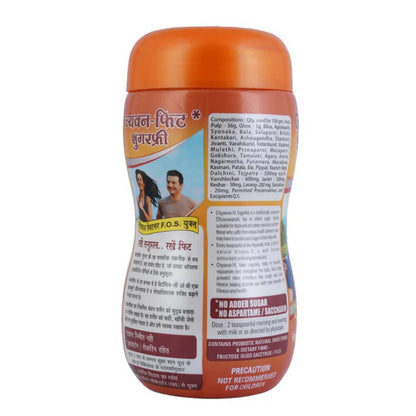 Baidyanath Jhansi Chyawan-Fit Sugar Free - Indyancart
