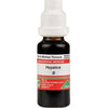 Adel Homeopathy Hepatica Mother Tincture Q