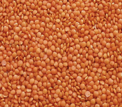 Weefa Organic Healthy Pulses Red Masoor Dal