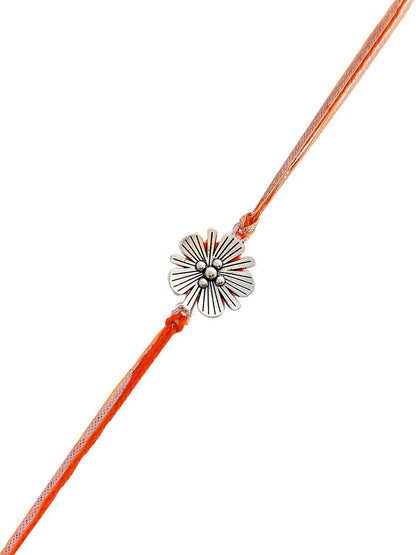 Anouk Multistrand Rakhi