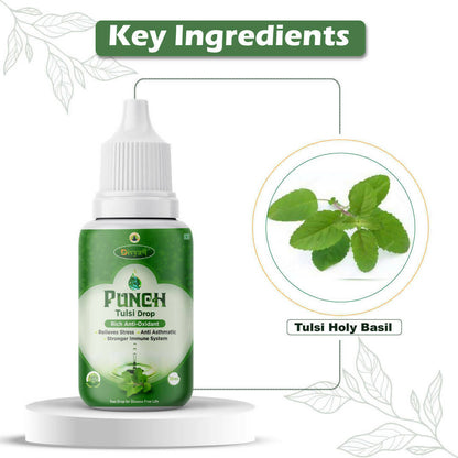 Divya Shree Punch Tulsi Drops