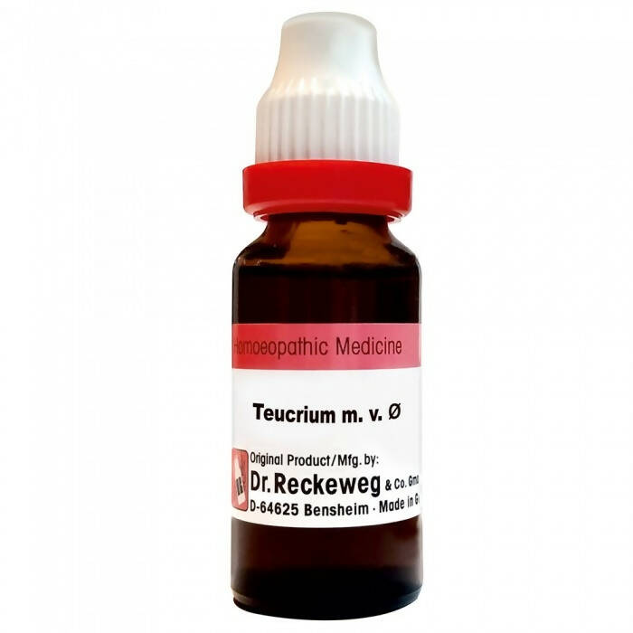 Dr. Reckeweg Teucrium Mar Mother Tincture Q - Indyancart